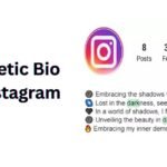 Aesthetic Bio for Instagram