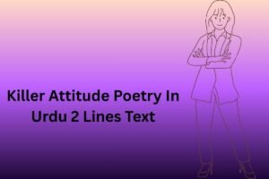 Killer Attitude Poetry In Urdu 2 Lines Text