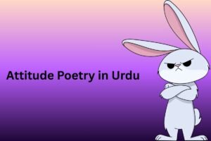 Attitude Poetry in Urdu