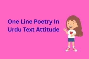 One Line Poetry In Urdu Text Attitude