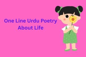 One Line Urdu Poetry About Life 
