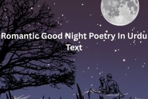 Romantic Good Night Poetry In Urdu Text