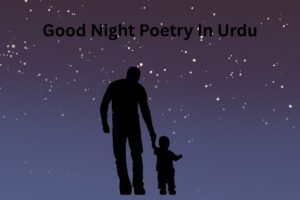 Good Night Poetry In Urdu 