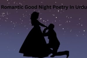 Romantic Good Night Poetry In Urdu