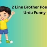 2 Line Brother Poetry In Urdu Funny